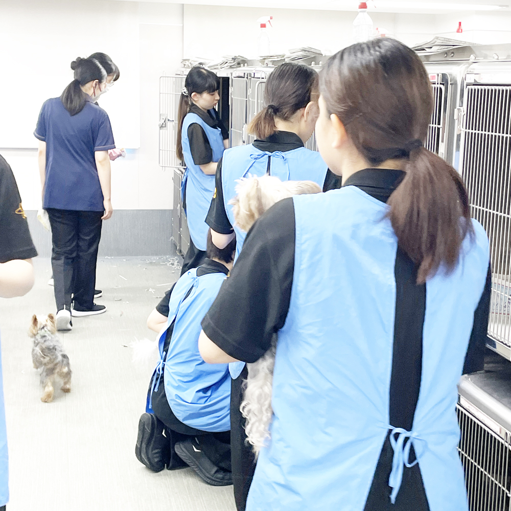 モデル犬のお世話♪